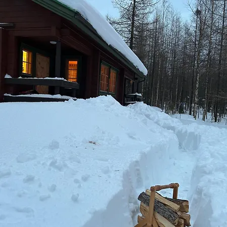 Chalet Forest And In Pallas-yllastunturi, Levi