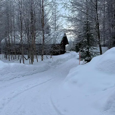 Chalet Forest And In Pallas-yllastunturi, Levi *